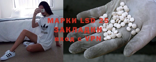 ГАЛЛЮЦИНОГЕННЫЕ ГРИБЫ Балахна