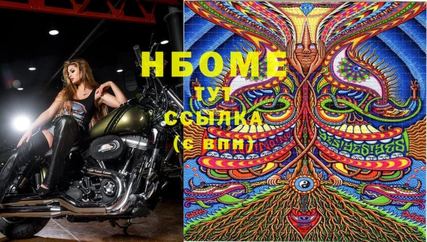 ГАЛЛЮЦИНОГЕННЫЕ ГРИБЫ Балахна