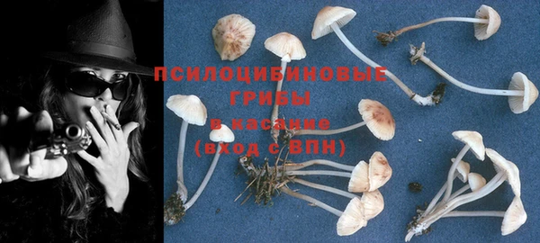 ГАЛЛЮЦИНОГЕННЫЕ ГРИБЫ Балахна